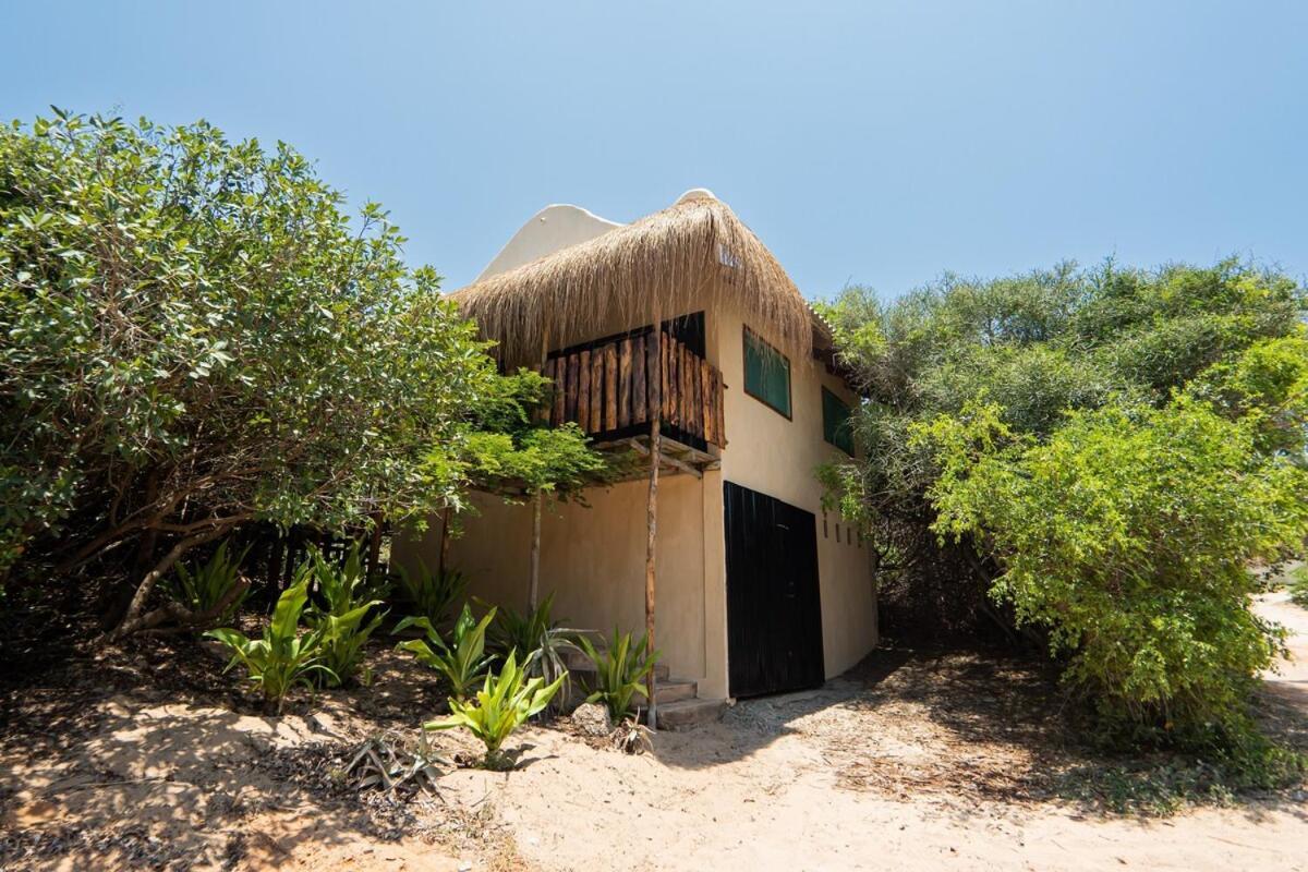 Tree House Cottage, Garden Views, Hot Water Praia do Praia do Tofo Εξωτερικό φωτογραφία